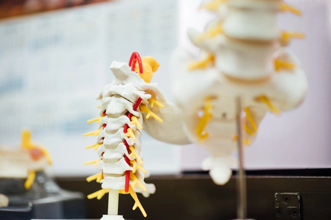 The 6 Best Physical Therapy Certifications of 2024