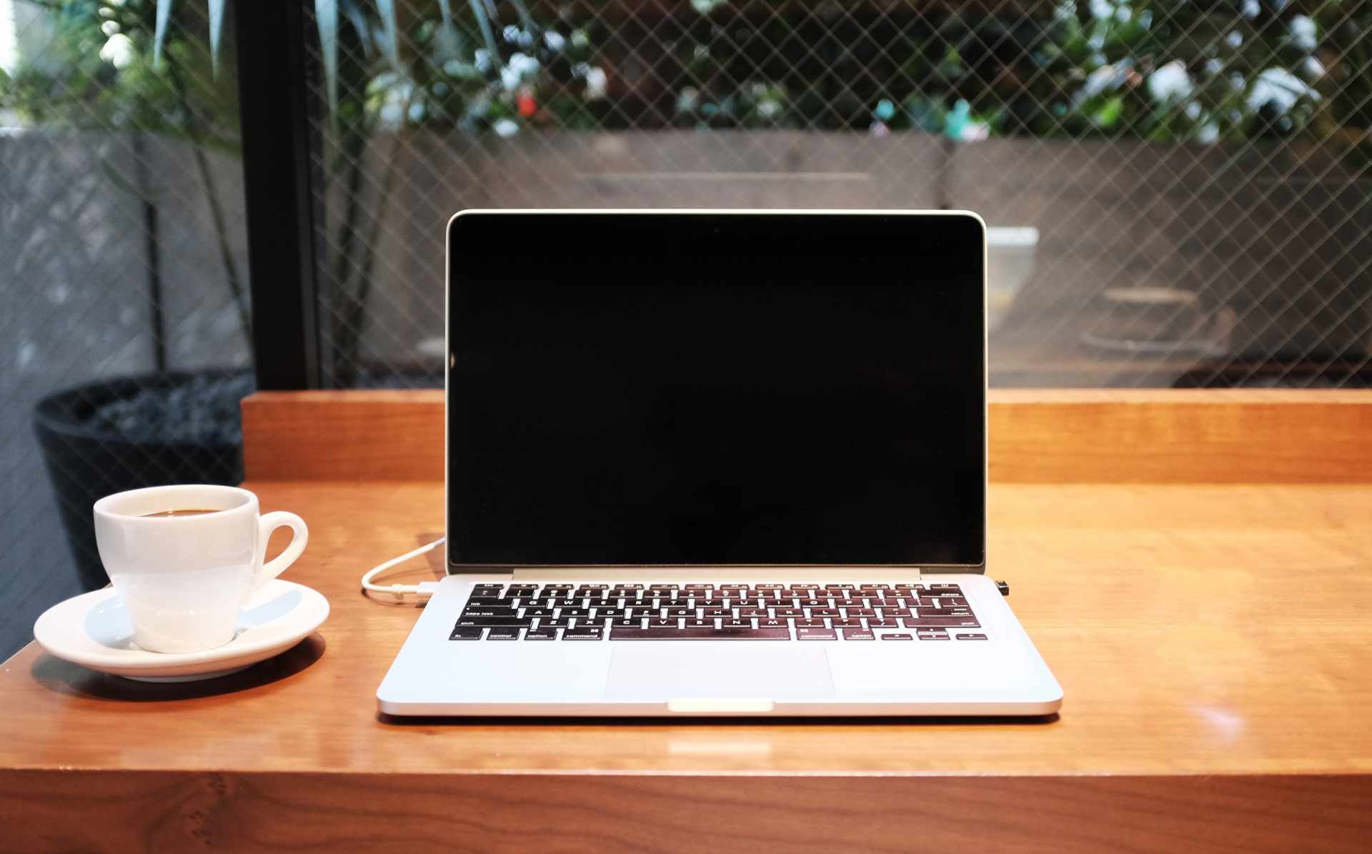 telehealth software pt clinic