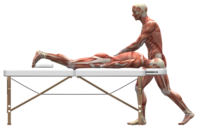 difference-between-pt-and-ot