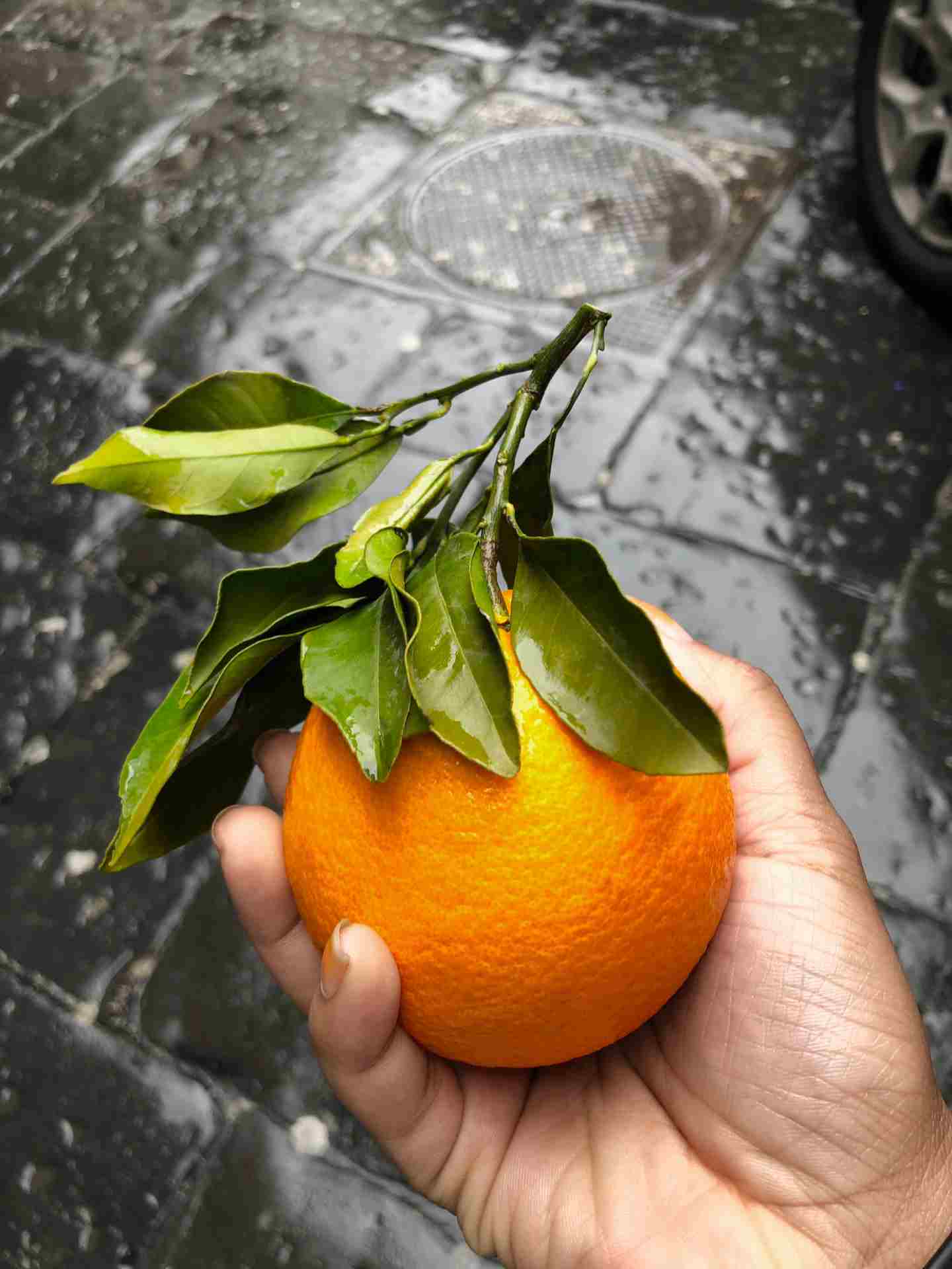 Orange